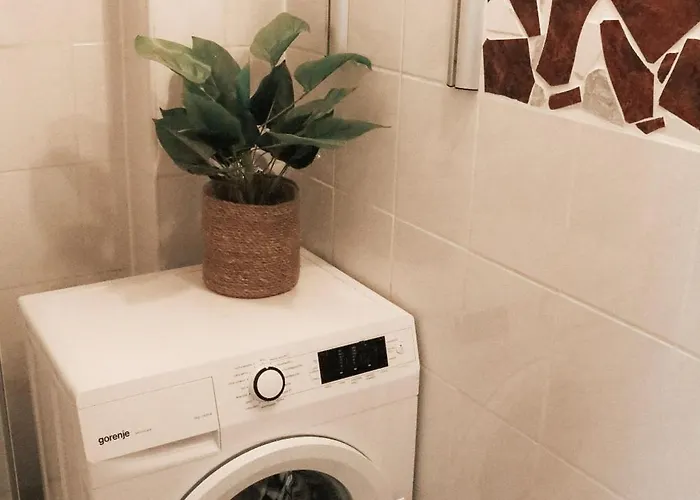 Cozy And Charming Near Centre With 2 Bathrooms アパート グラーツ