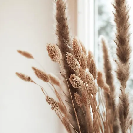 Cozy And Charming Near Centre With 2 Bathrooms Apartman Graz