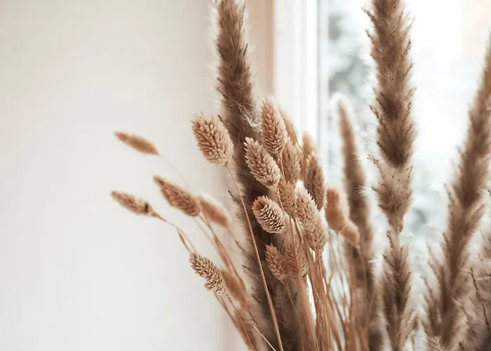 Cozy And Charming Near Centre With 2 Bathrooms Апартаменты Грац