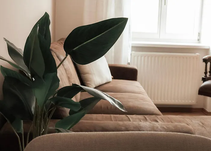 Cozy And Charming Near Centre With 2 Bathrooms Апартаменты Грац